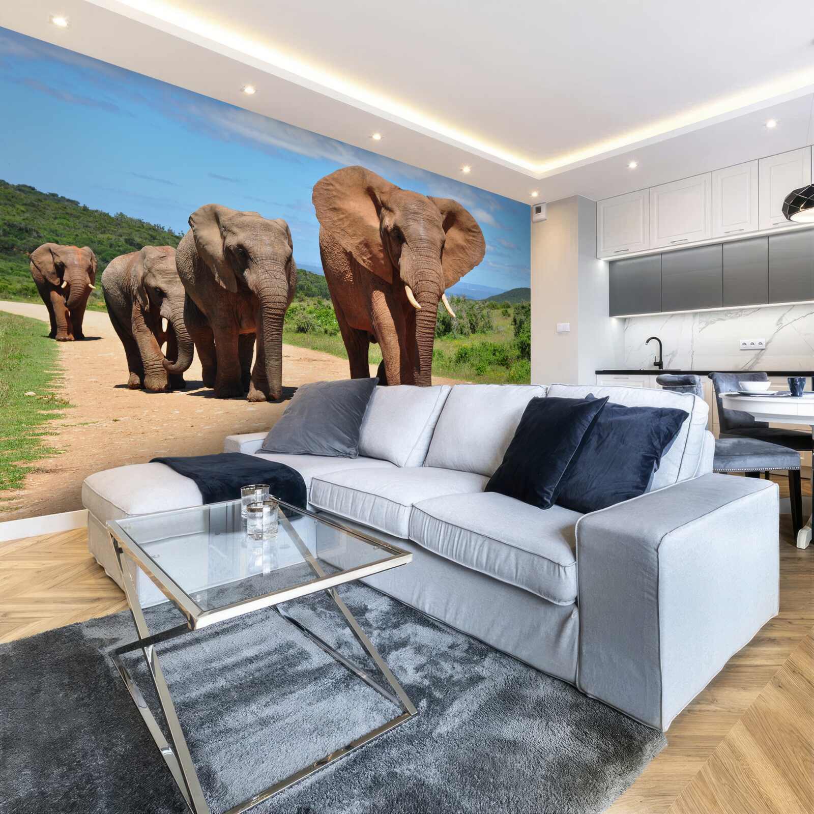 Papier peint Un groupe d'éléphants rentre chez lui en traversant un terrain sablonneux.