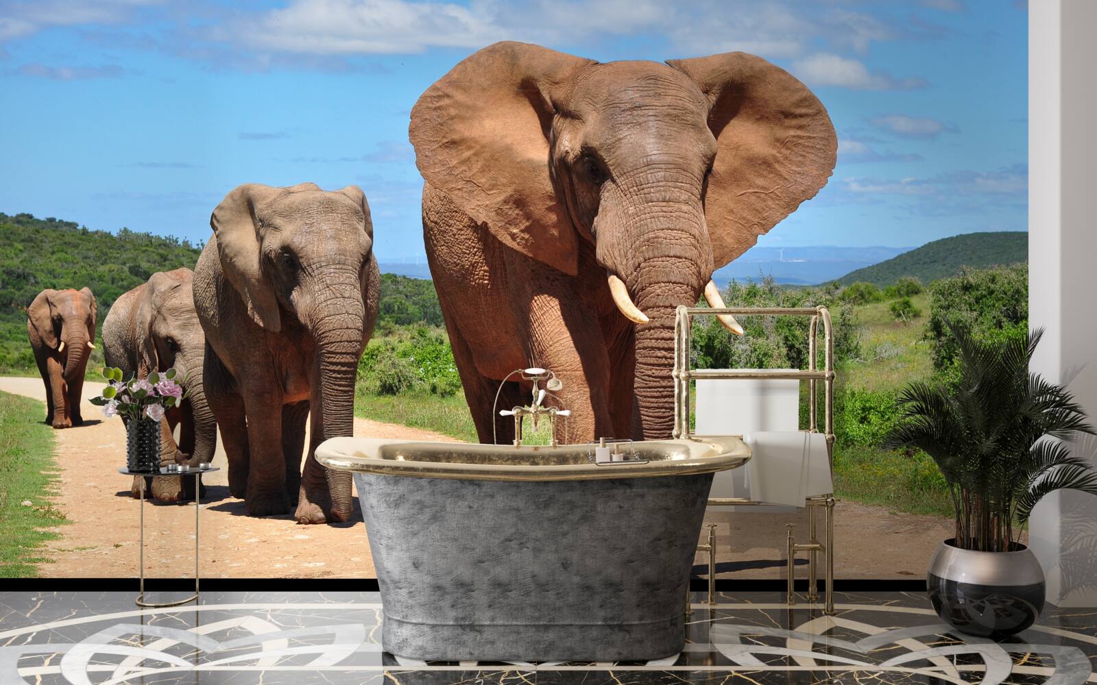 Papier peint Un groupe d'éléphants rentre chez lui en traversant un terrain sablonneux.