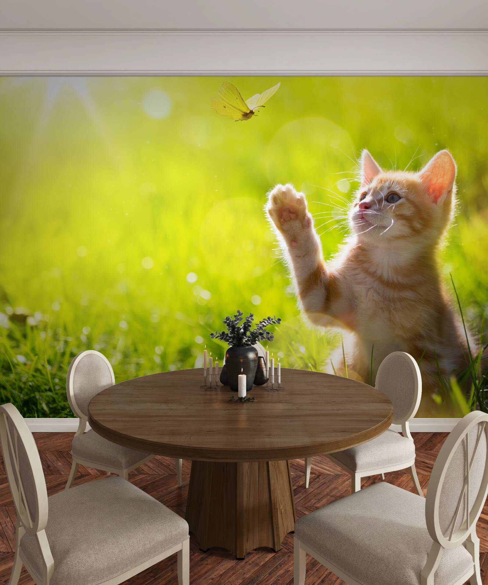 Papier peint un petit chat joue avec un papillon dans un champ vert