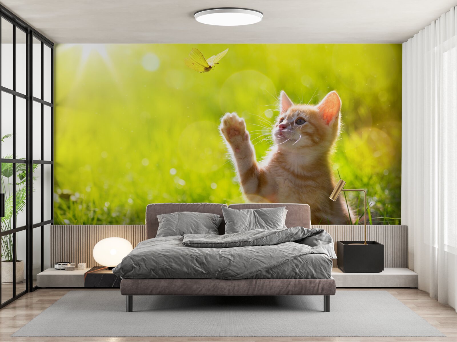 Papier peint un petit chat joue avec un papillon dans un champ vert