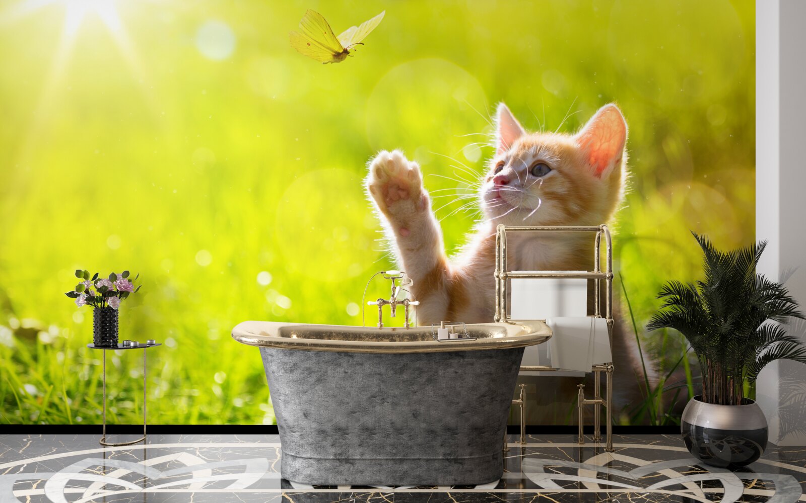 Papier peint un petit chat joue avec un papillon dans un champ vert