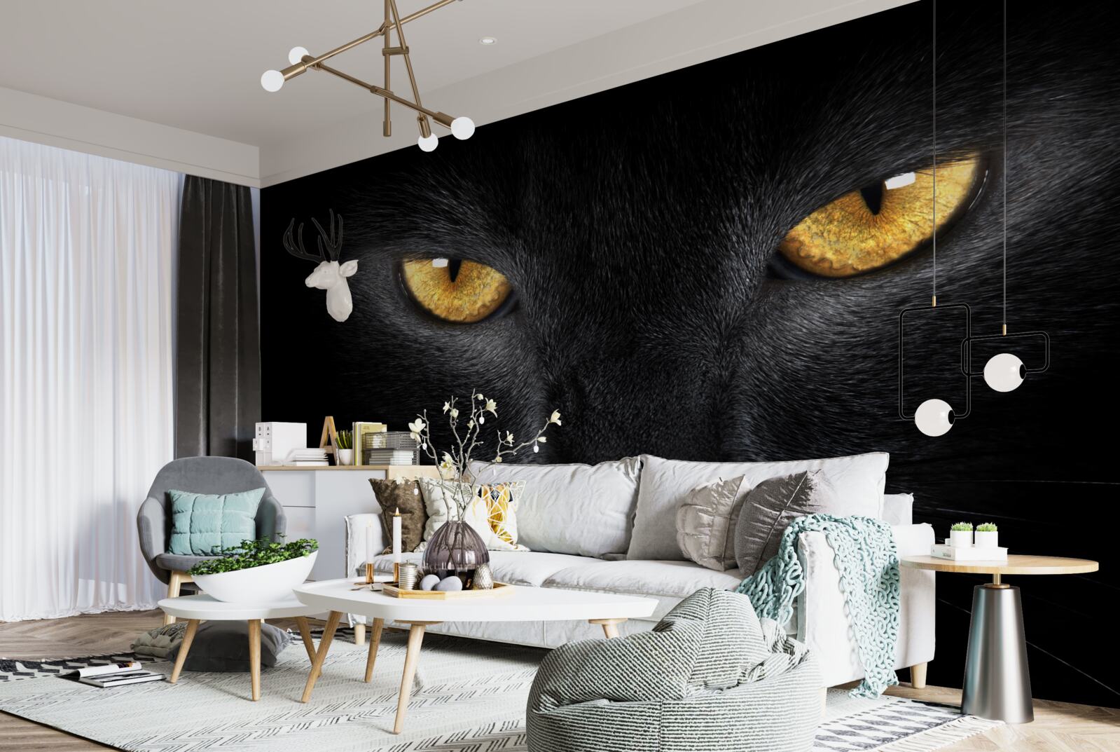 Papier peint le regard pénétrant d'un chat noir