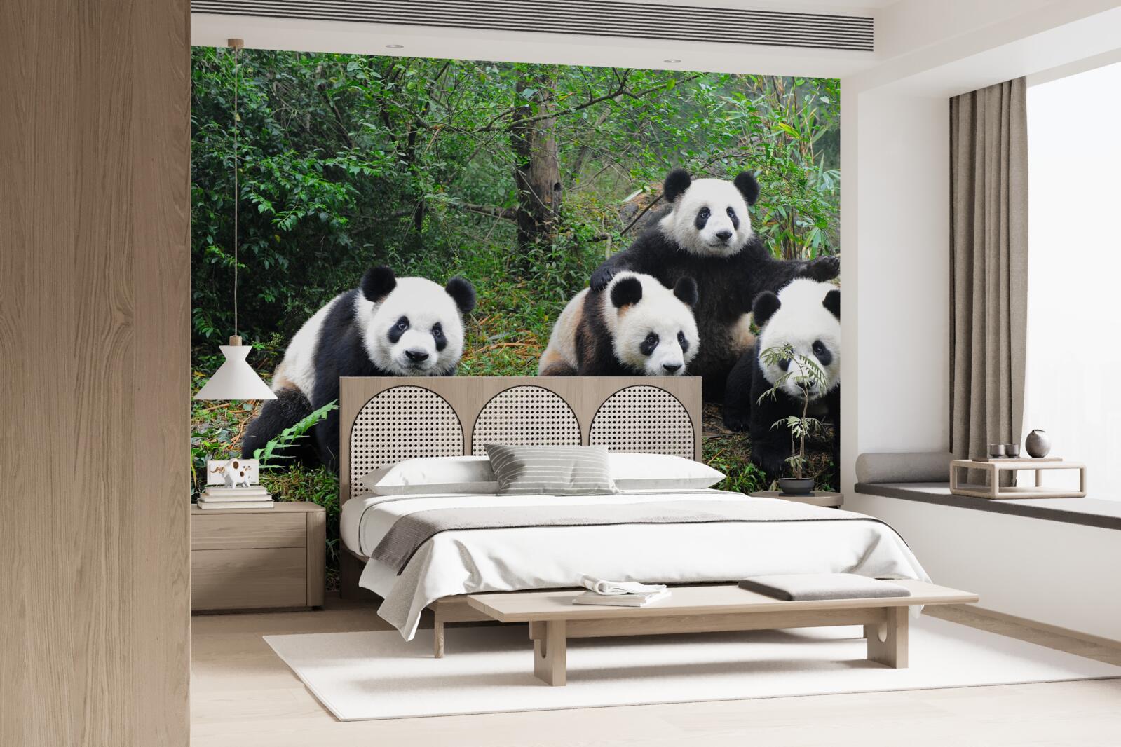 Papier peint une famille d'adorables pandas au repos