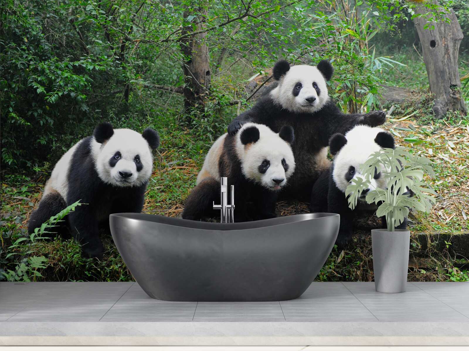 Papier peint une famille d'adorables pandas au repos