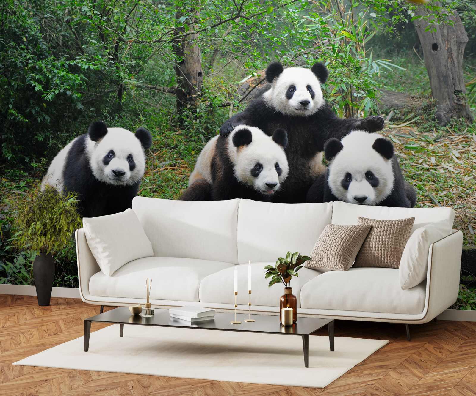 Papier peint une famille d'adorables pandas au repos