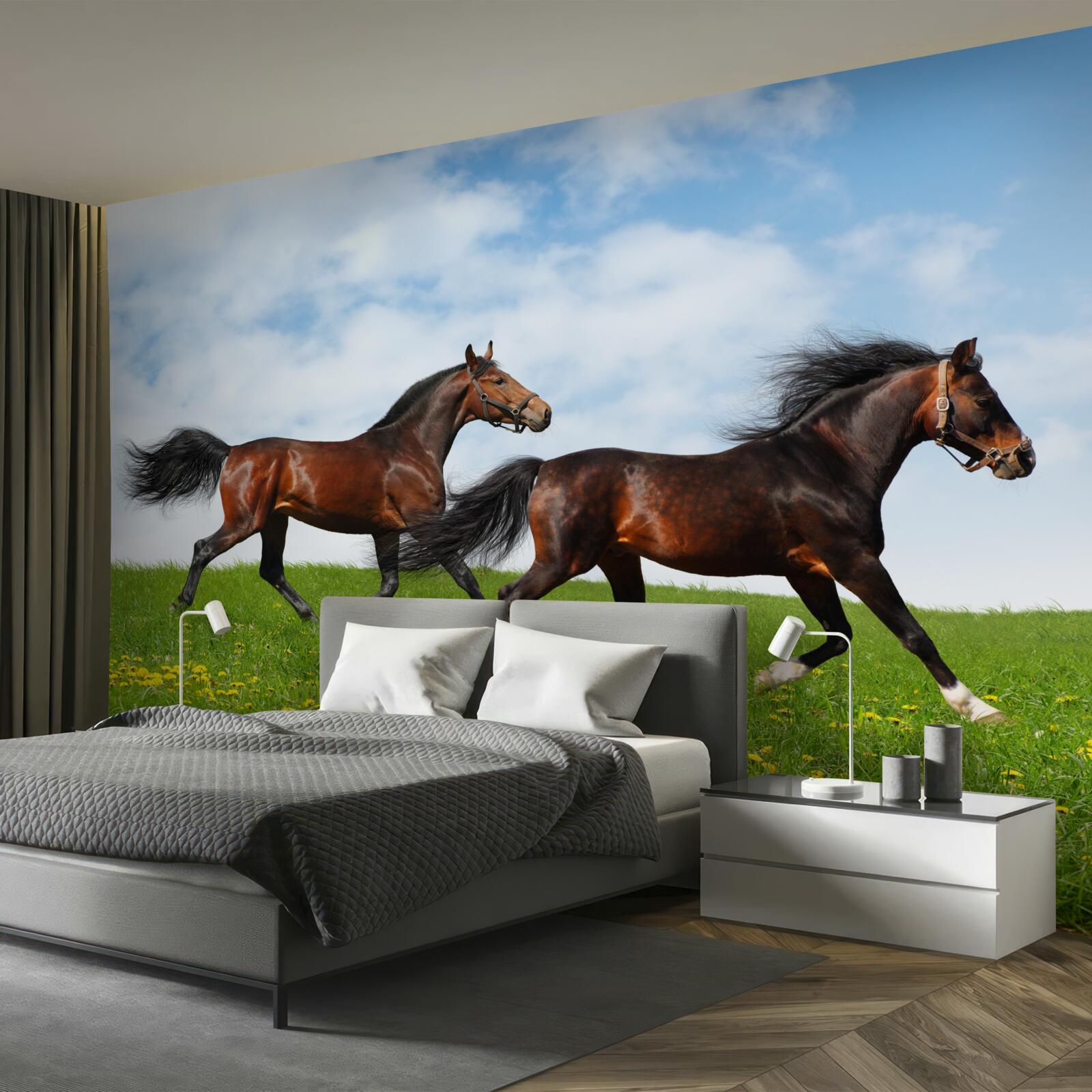 Papier peint chevaux anciens courant dans une clairière