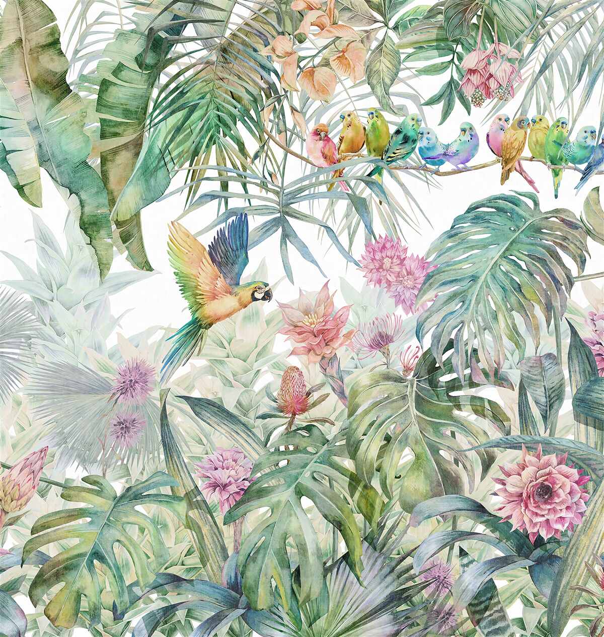 Papier peint une famille de perroquets dans la forêt tropicale