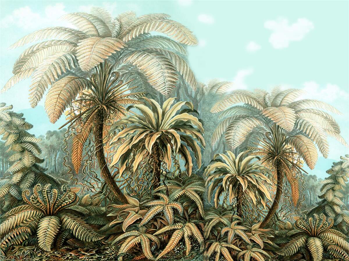 Papier peint des arbres tropicaux sur une île paradisiaque