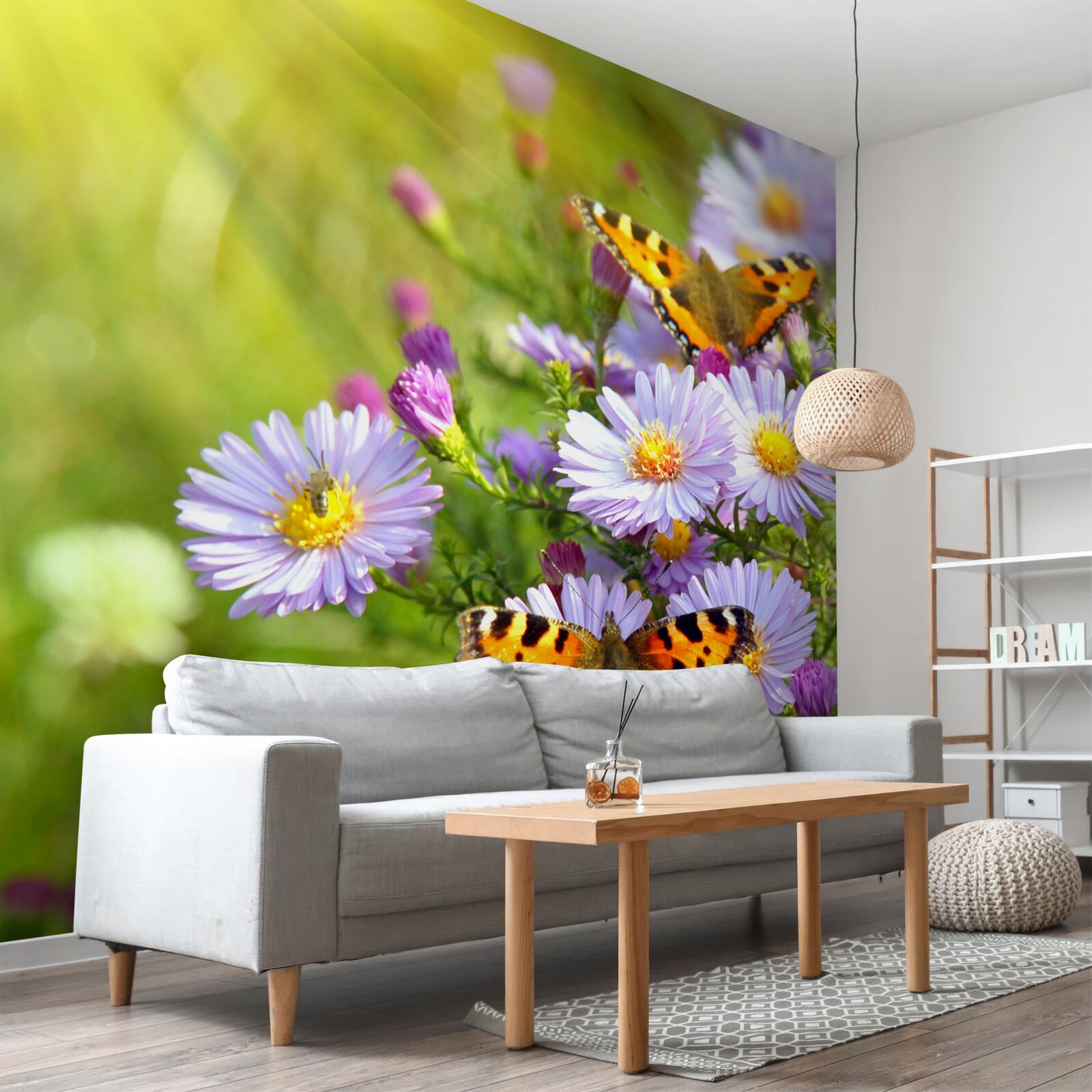 Papier peint Une prairie parsemée de marguerites bleues et de papillons