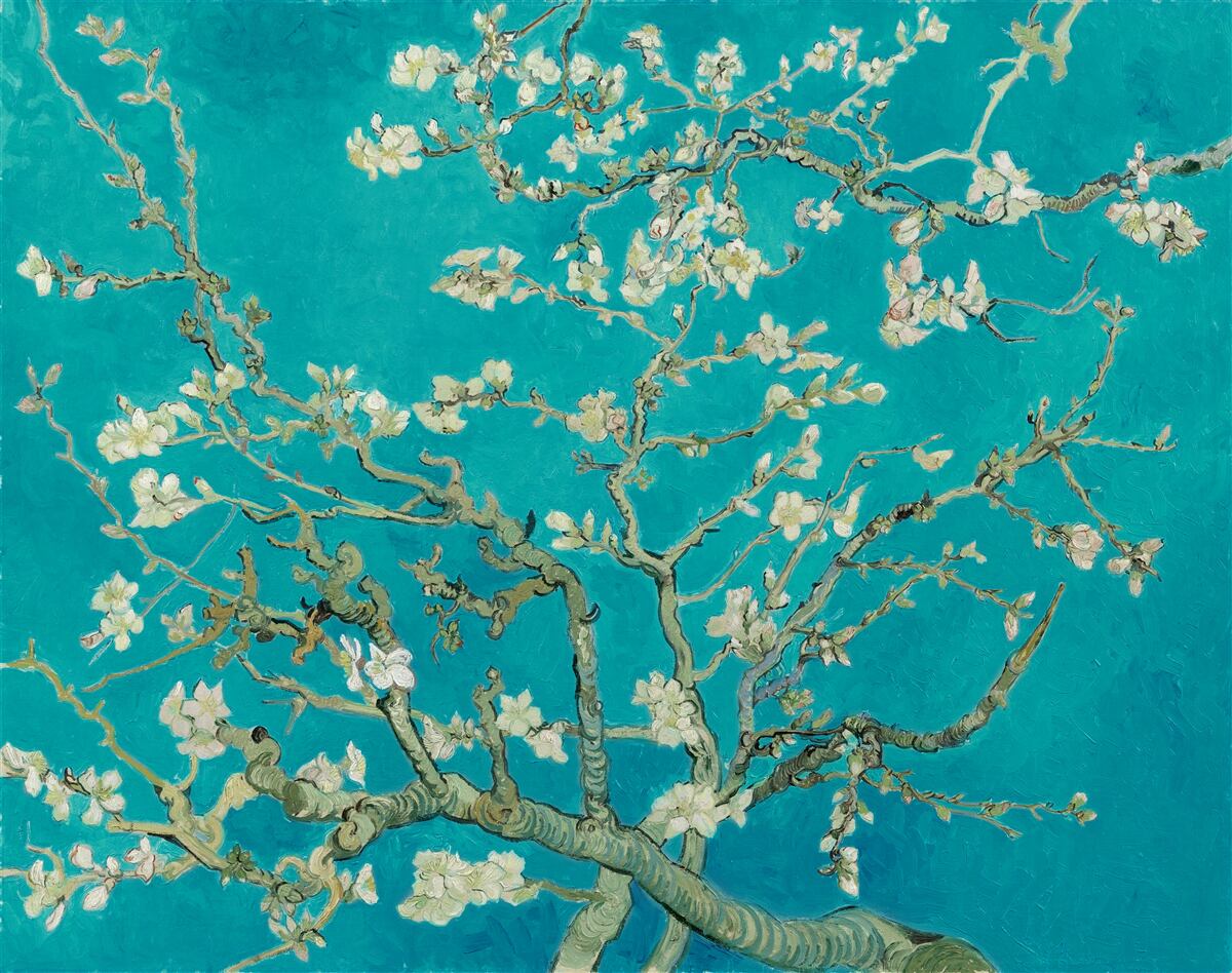 Papier peint branches d'amandiers en fleurs