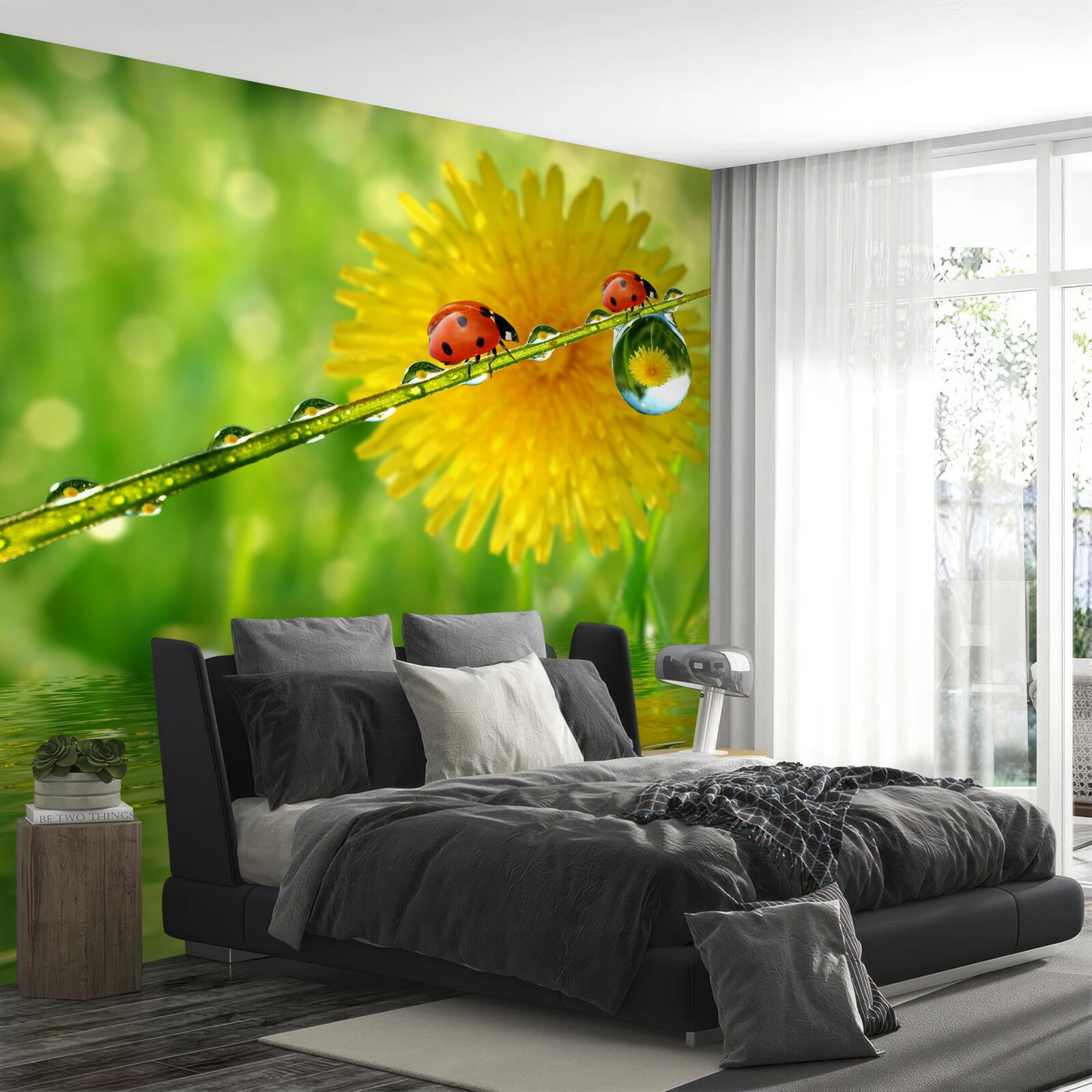 Papier peint coccinelles après un orage torrentiel