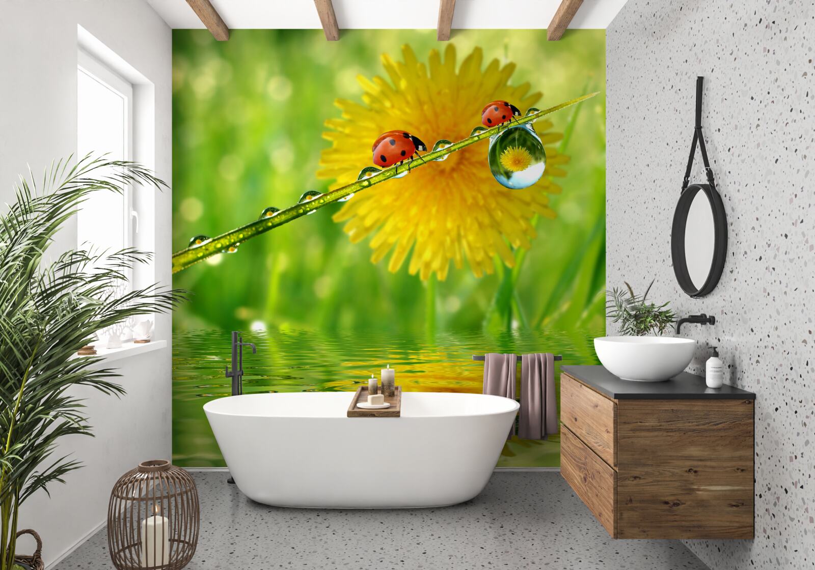 Papier peint coccinelles après un orage torrentiel