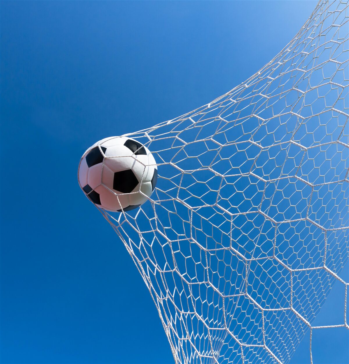 Papier peint le ballon a atterri dans le but