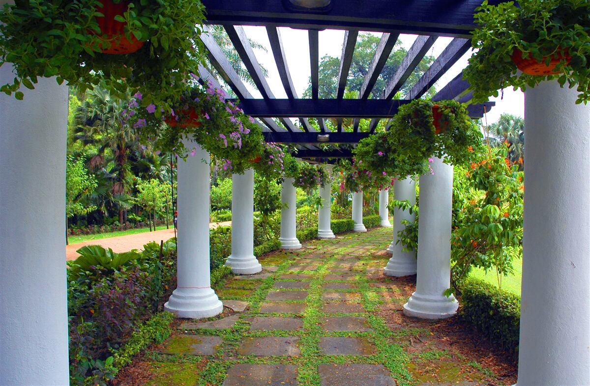 Papier peint colonnes de béton blanc dans le jardin