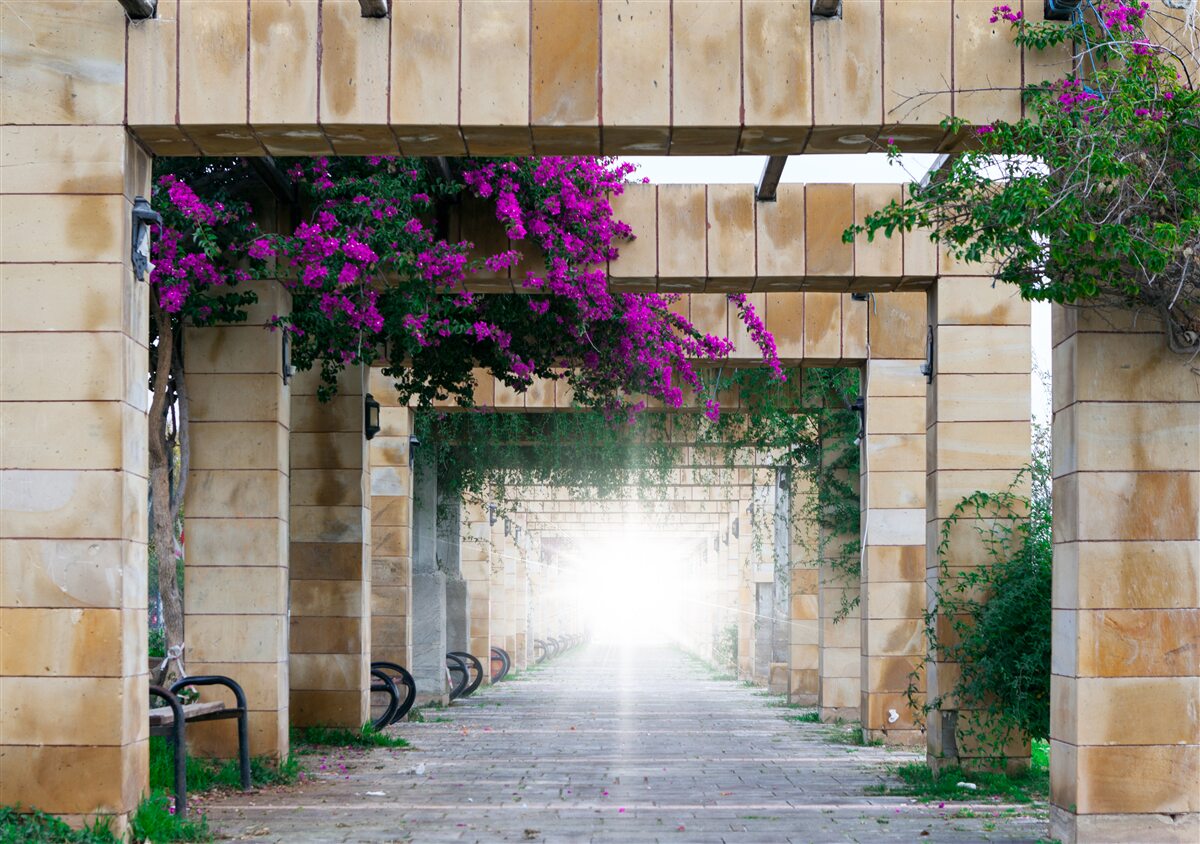 Papier peint arc rectangulaire en pierre, décoré de fleurs