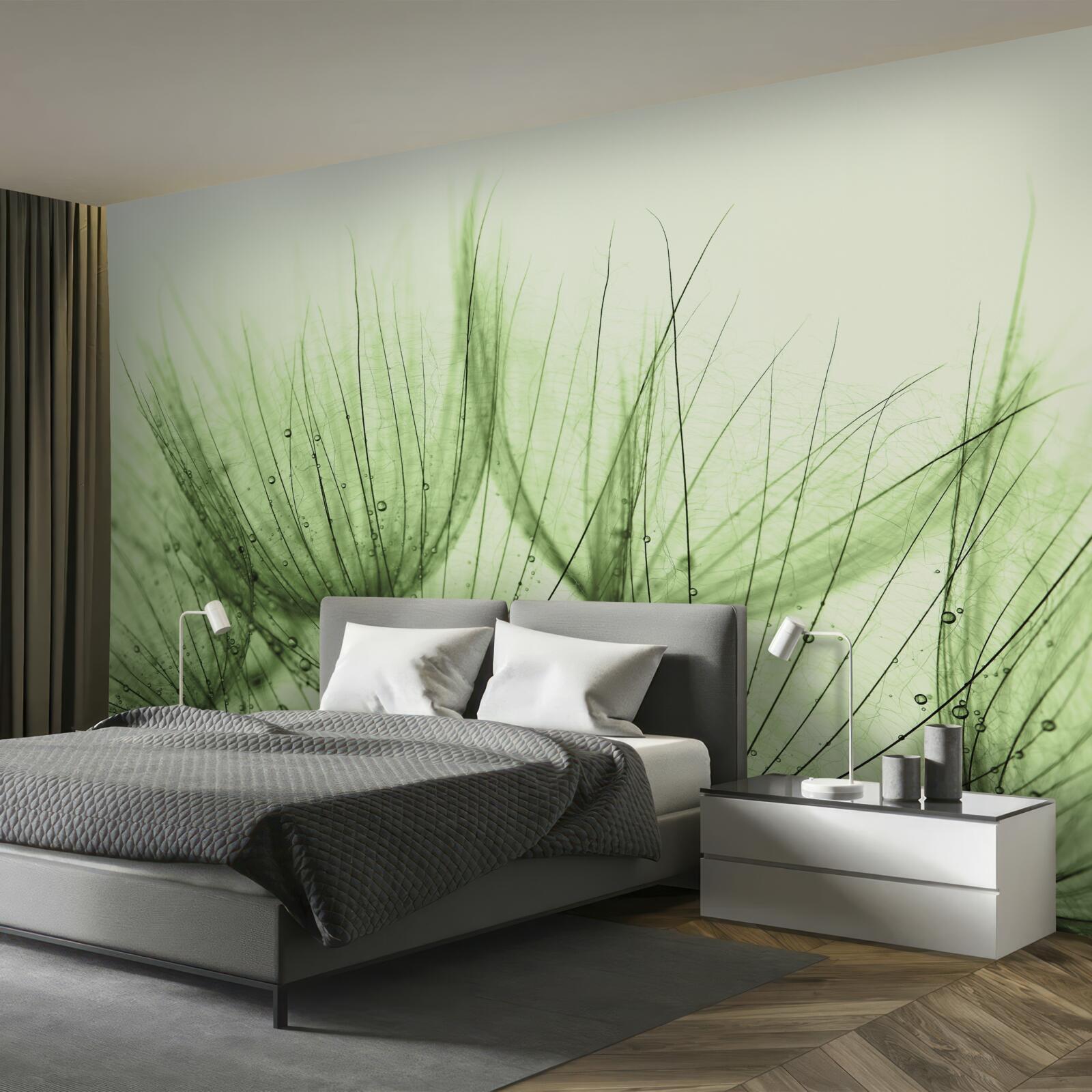 Papier peint collection de pissenlits aériens