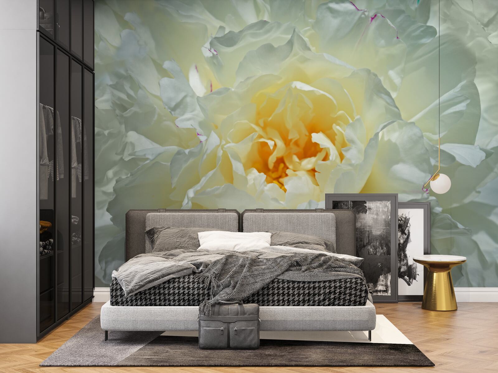 Papier peint image en gros plan d'une pivoine blanche