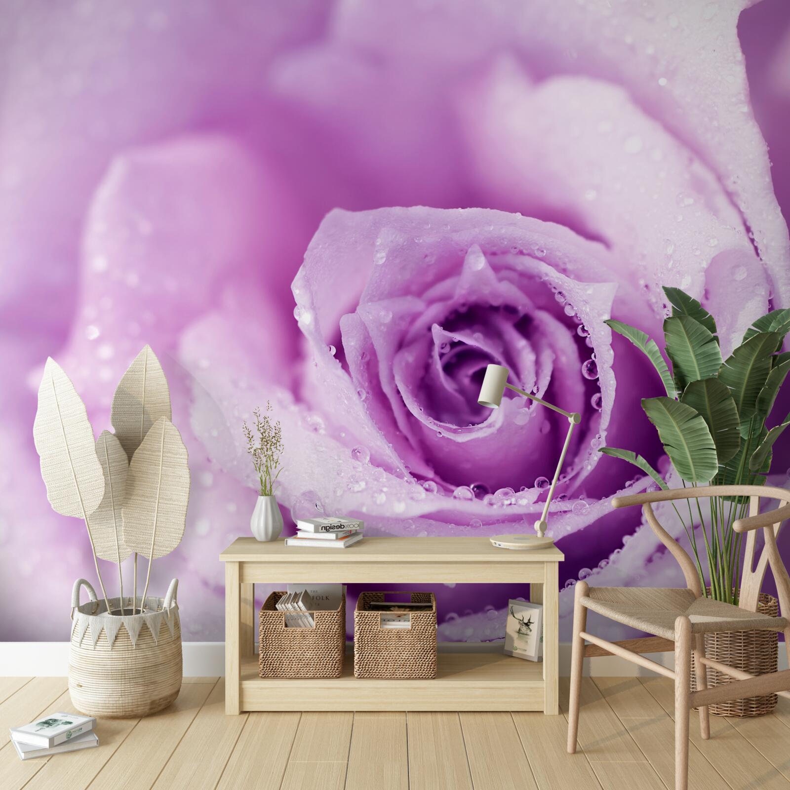 Papier peint rose avec une teinte lilas après la pluie