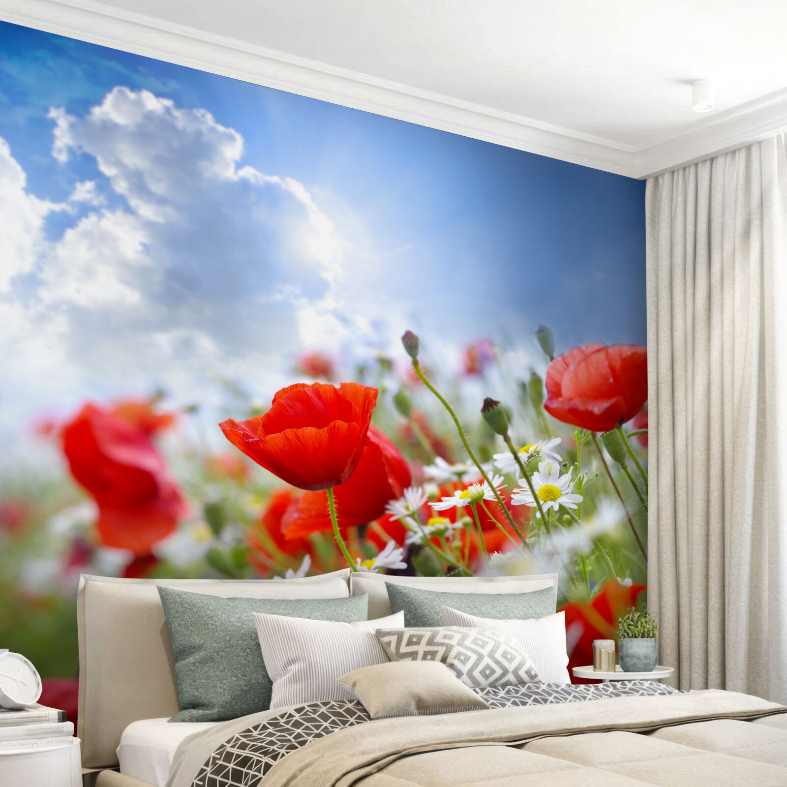 Papier peint fleurs des champs avec des coquelicots brillants