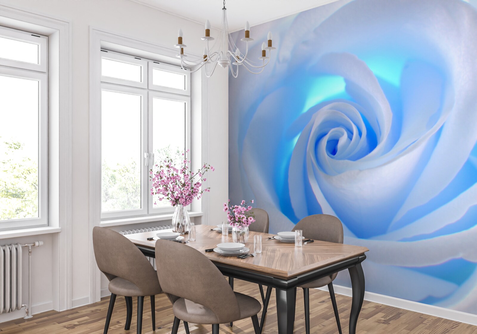 Papier peint lumière bleue traversant la délicate rose blanche