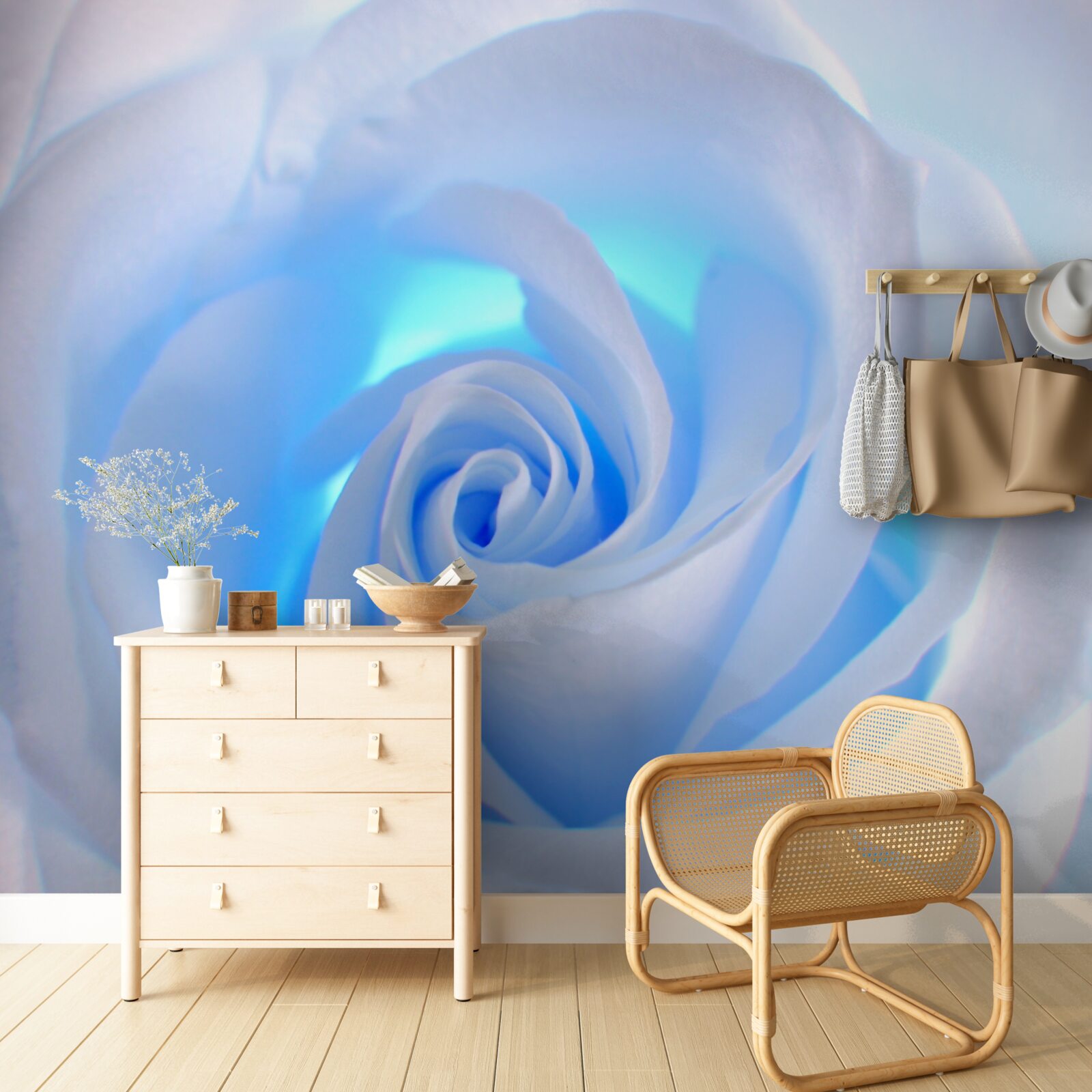 Papier peint lumière bleue traversant la délicate rose blanche