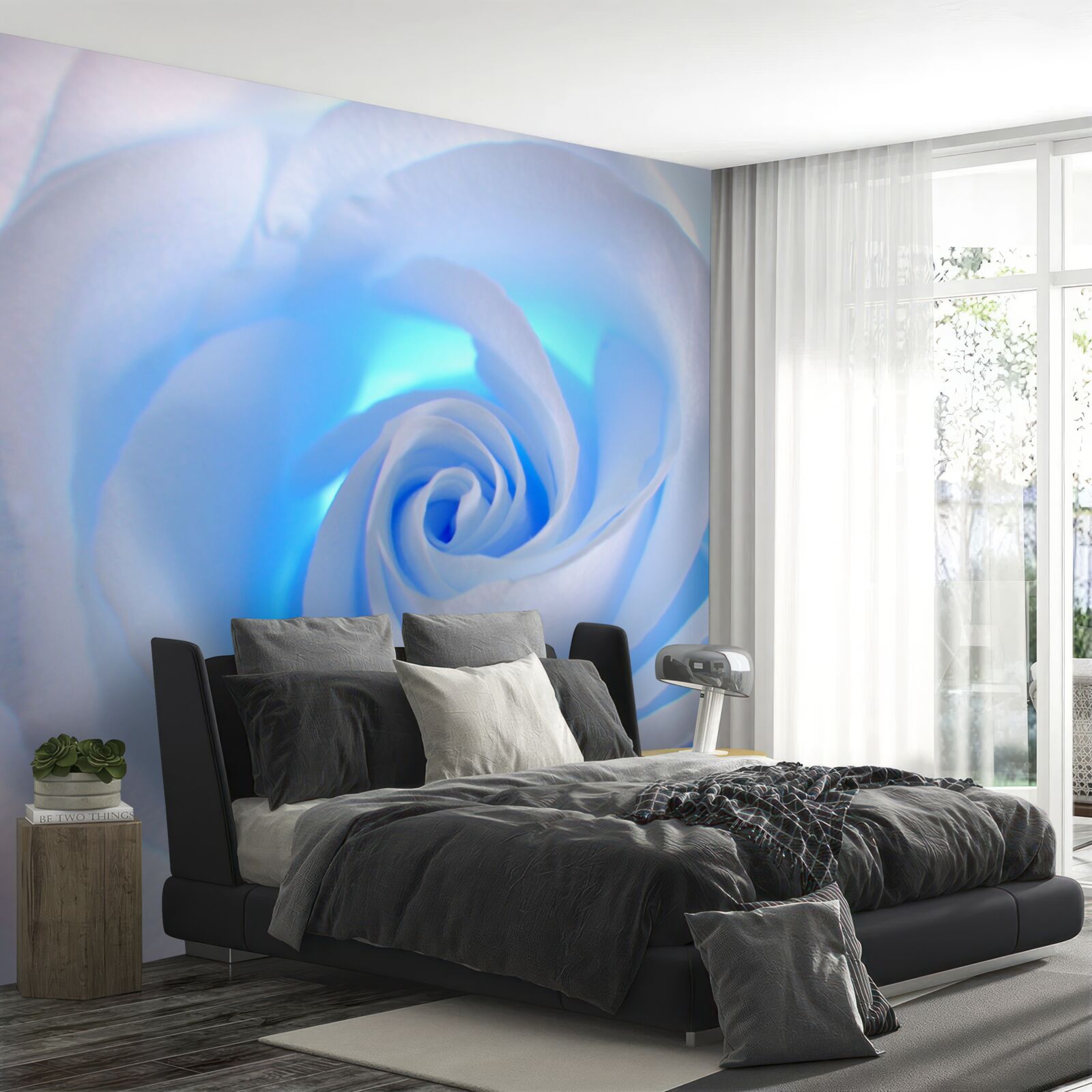 Papier peint lumière bleue traversant la délicate rose blanche