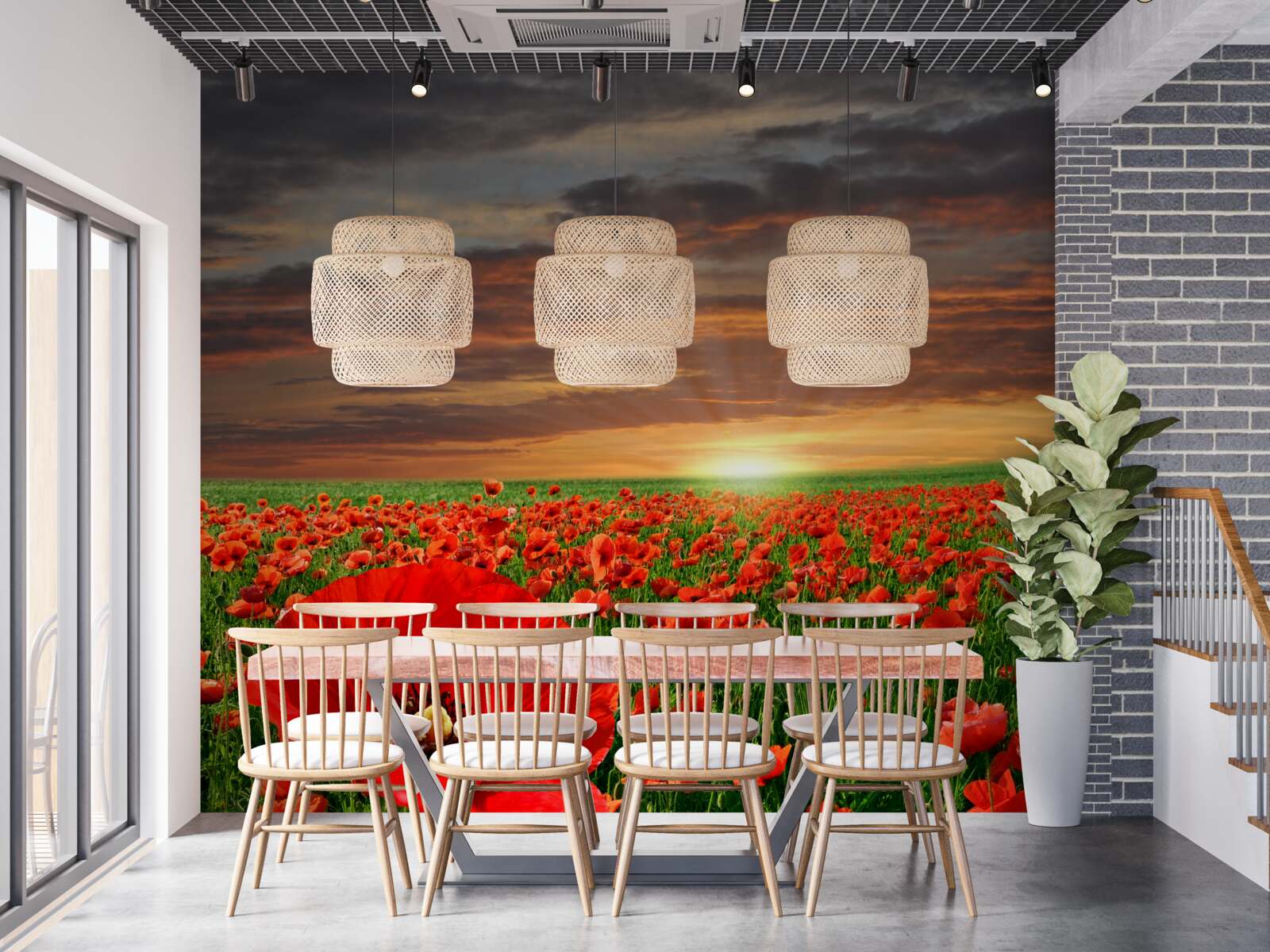 Papier peint coucher de soleil sur un champ de coquelicots écarlates