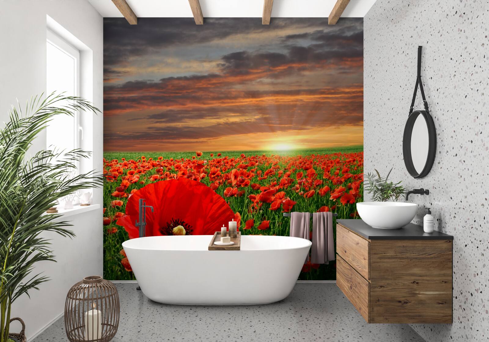 Papier peint coucher de soleil sur un champ de coquelicots écarlates
