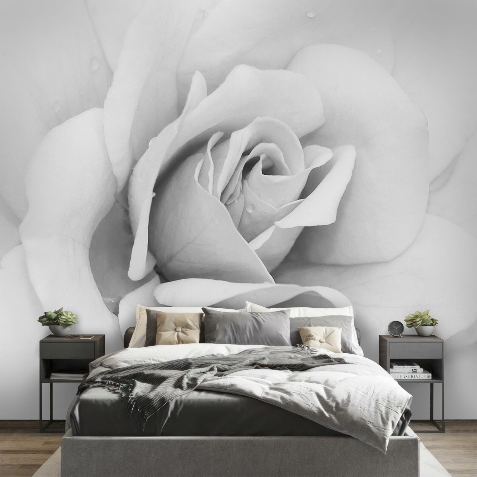 Papier peint image agrandie d'une rose blanche