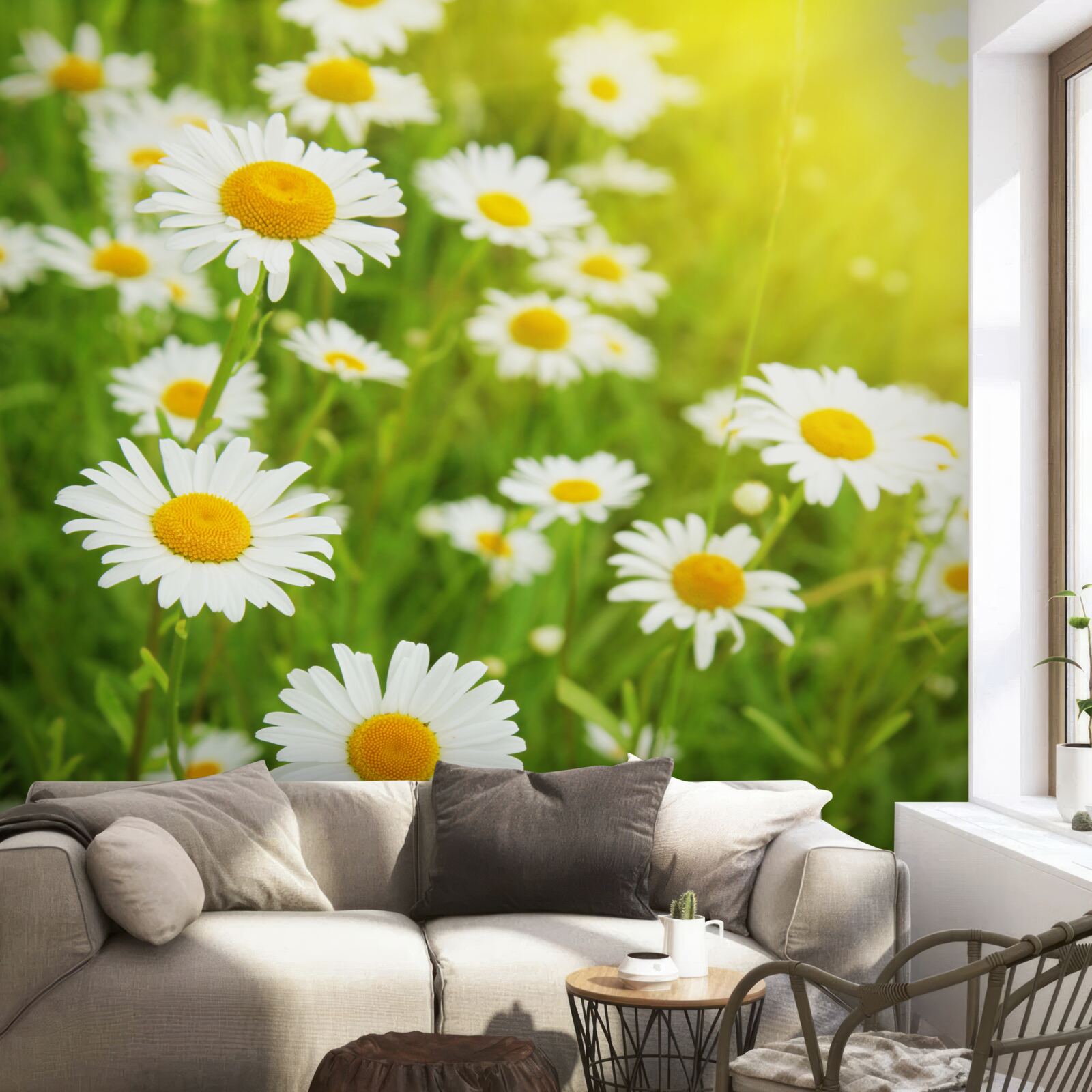 Papier peint un champ de marguerites blanches dans la verdure