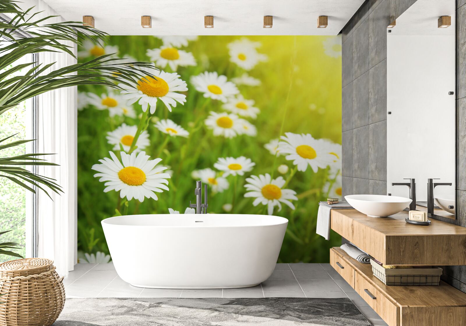 Papier peint un champ de marguerites blanches dans la verdure