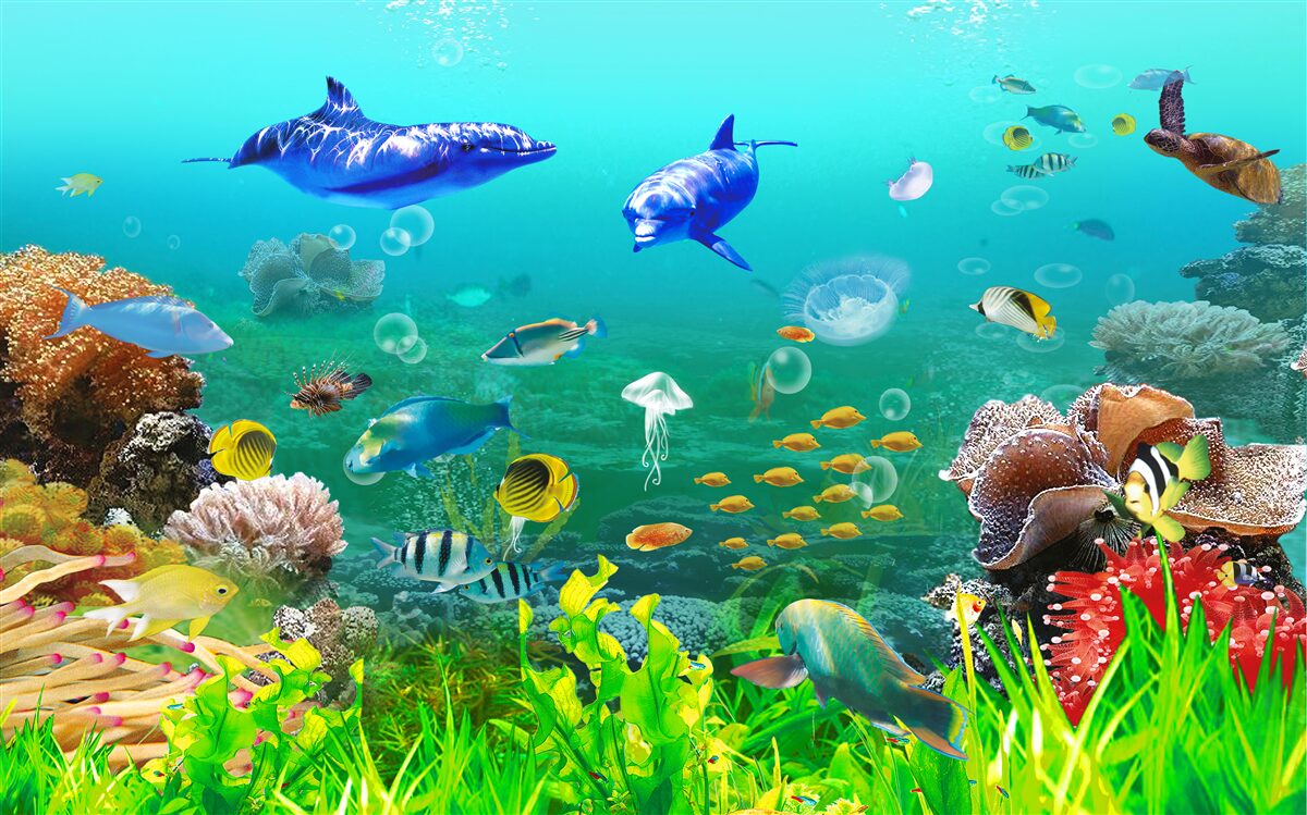 Papier peint la diversité du monde sous-marin