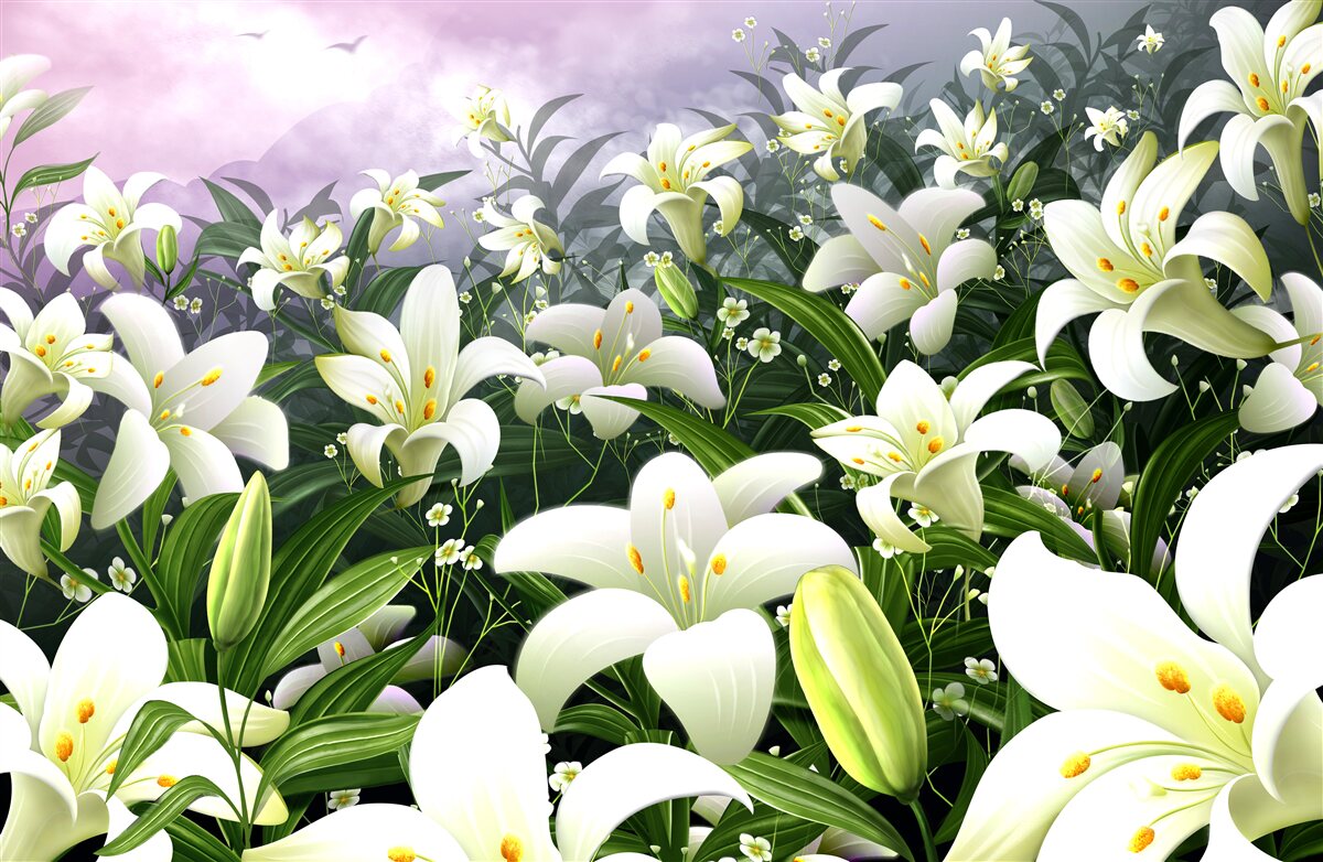 Papier peint tapis de lys blanc comme neige