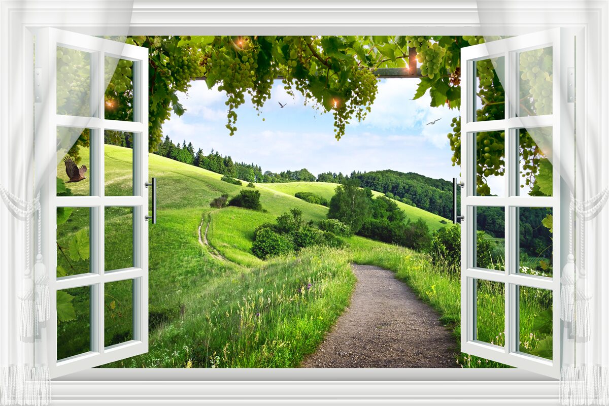 Papier peint Fenêtre donnant sur un panorama de prairies verdoyantes