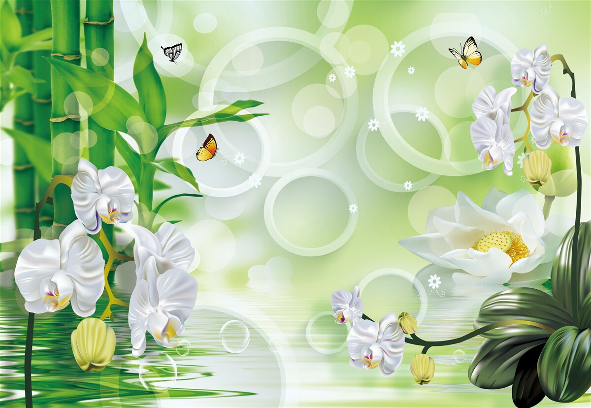 Papier peint des bambous verts et des fleurs se reflètent dans l'eau, entourés de cercles blancs
