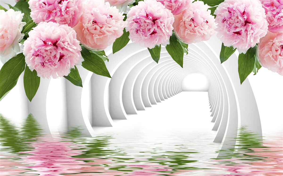 Papier peint pivoines roses au-dessus de la surface de l'eau