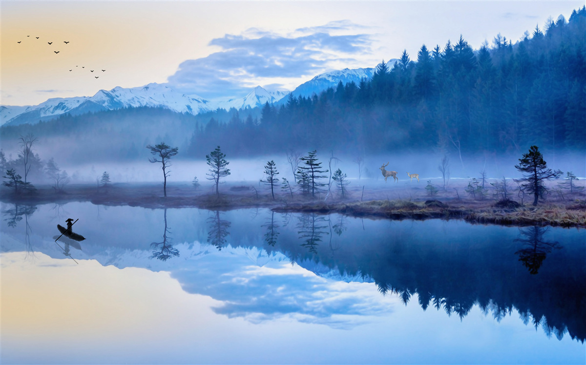 Papier peint image d'une forêt d'épicéas dans un miroir d'eau