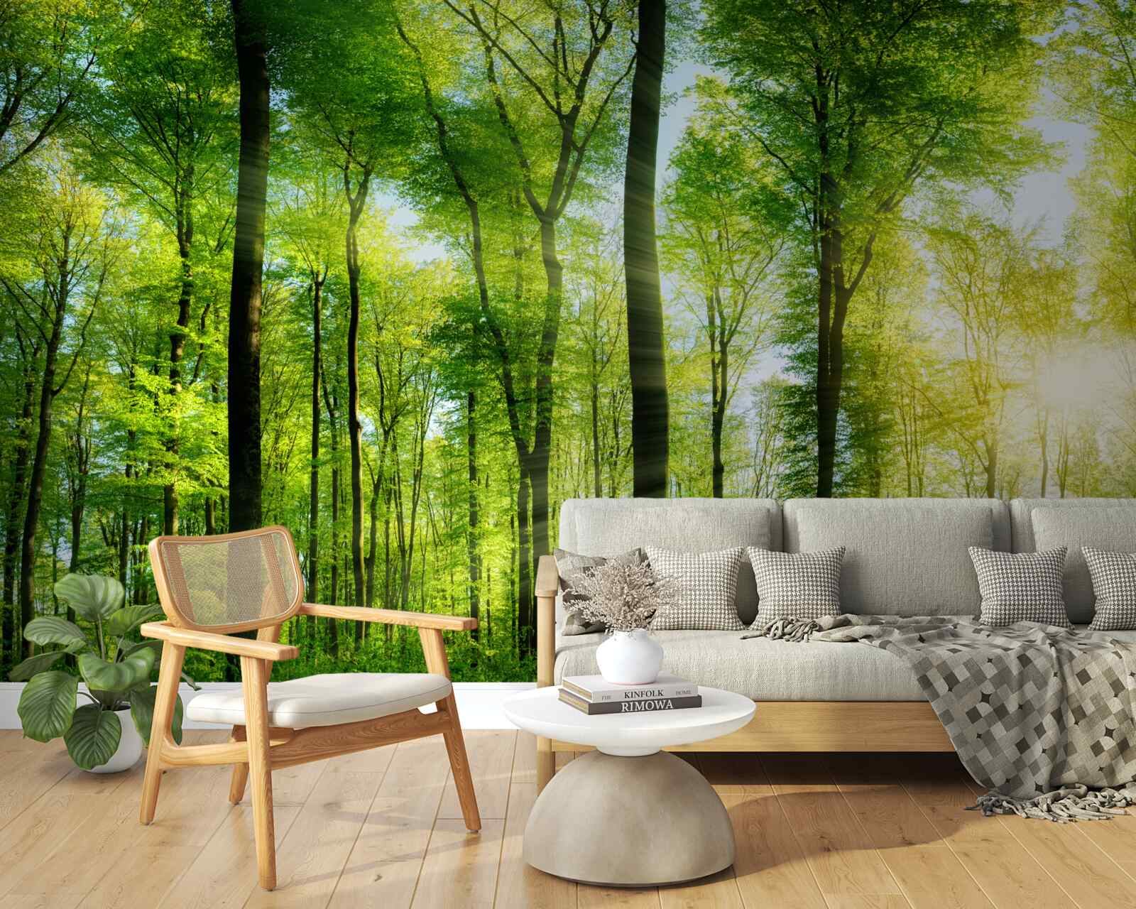 Papier peint les rayons du soleil pénètrent les feuilles des arbres