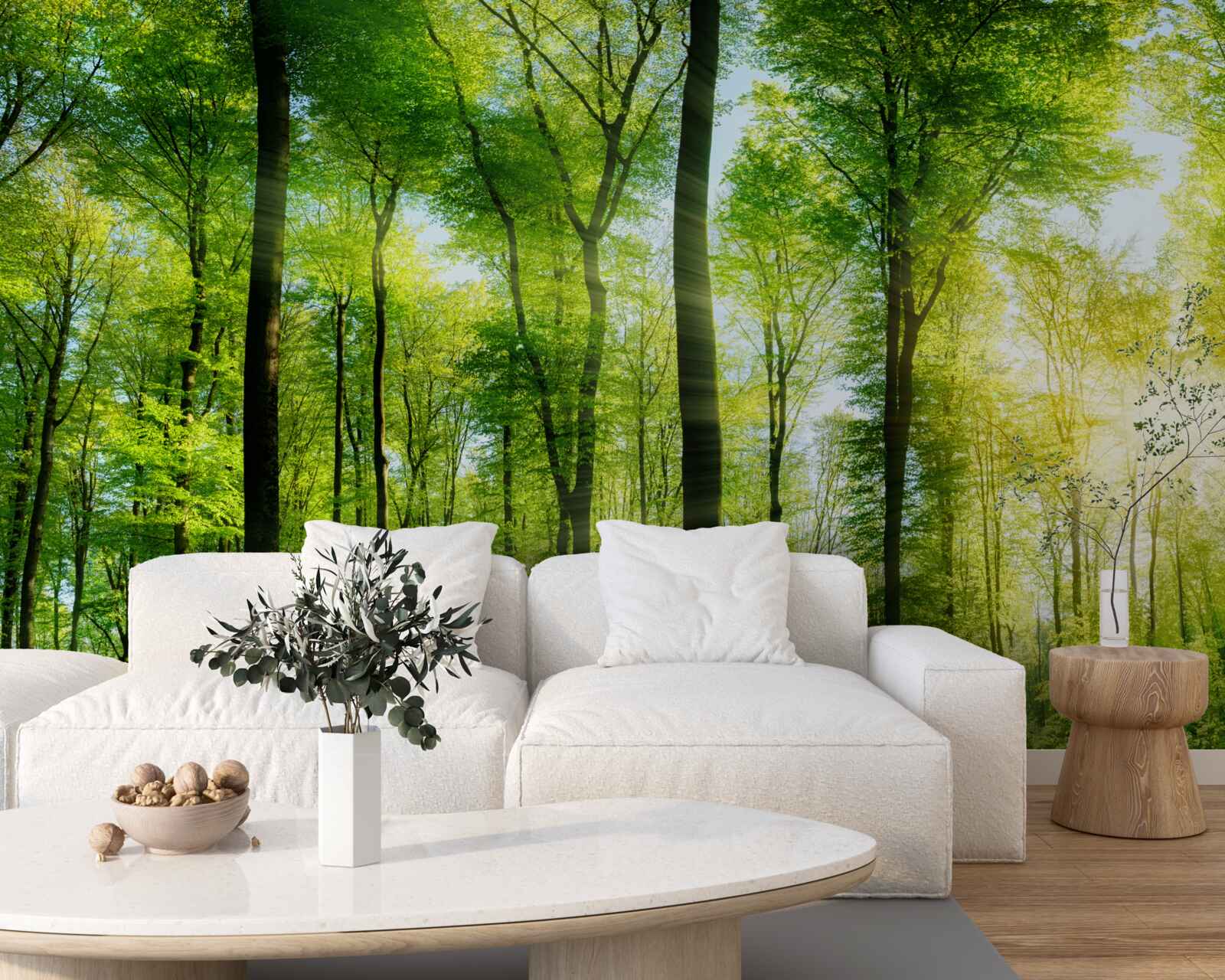 Papier peint les rayons du soleil pénètrent les feuilles des arbres