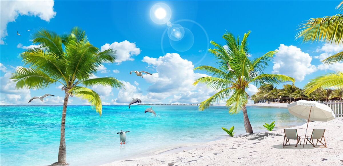 Papier peint plage de sable et de palmiers