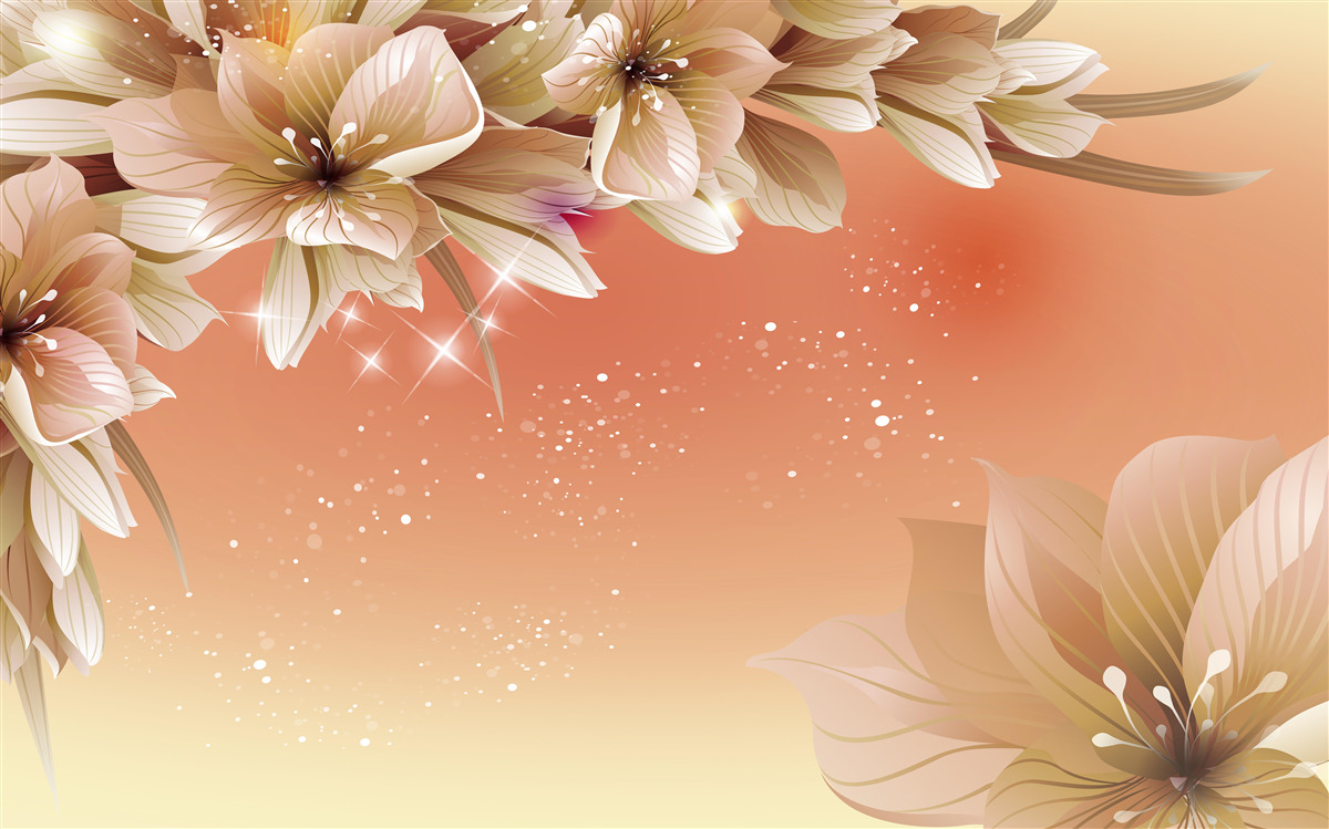 Papier peint fleurs blanches s'épanouissant sur une branche sur fond de coucher de soleil