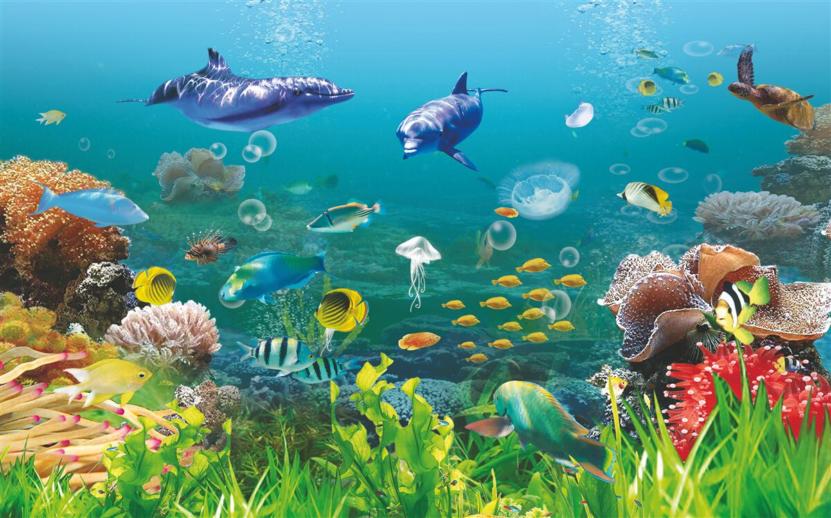 Papier peint habitants de la mer sur un fond verdâtre