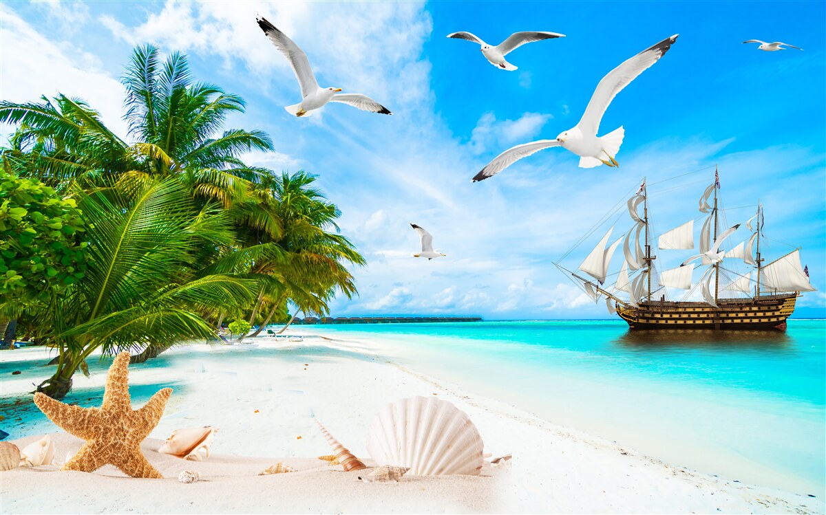 Papier peint lande sur une île déserte