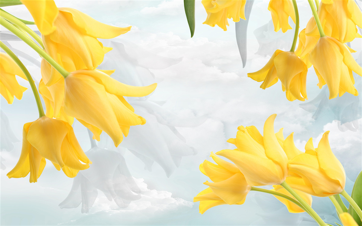 Papier peint Tulipes jaunes sur fond de ciel bleu