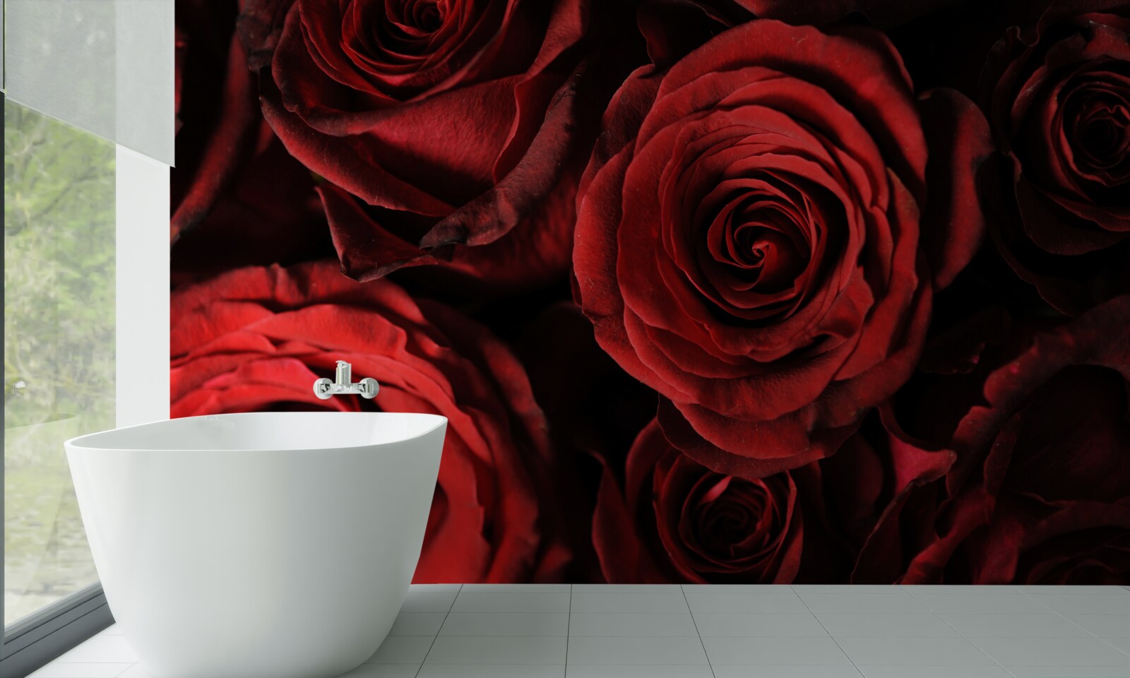 Papier peint la rose rouge est l'incarnation de la beauté