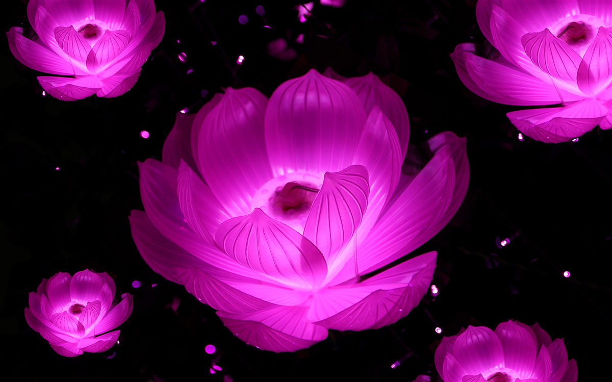 Papier peint fleurs violettes à la lumière des néons