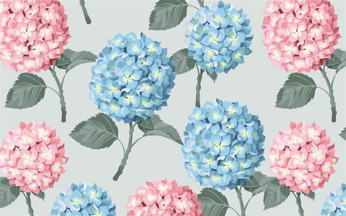 Papier peint hortensias roses et bleus