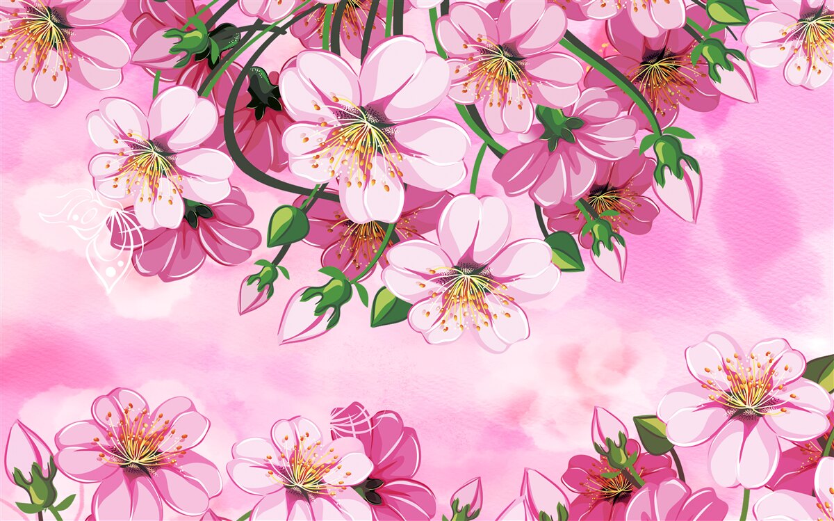 Papier peint Cerisiers japonais en fleurs