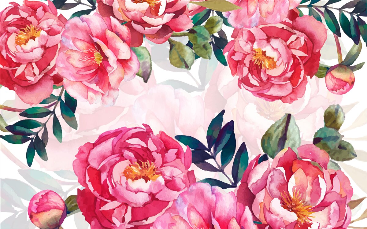 Papier peint les pivoines sont grandes et de couleur écarlate