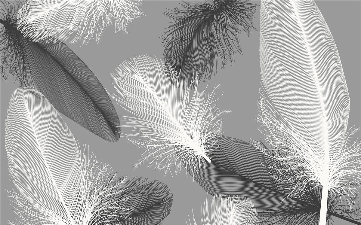 Papier peint assiettes argentées et légères